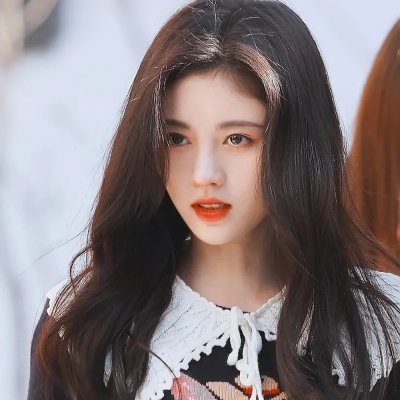 哈吉布基的森林冒险 在线观看